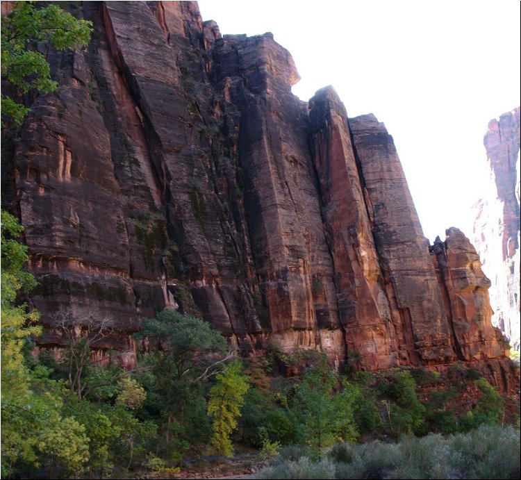 Zion National Park 5.jpg