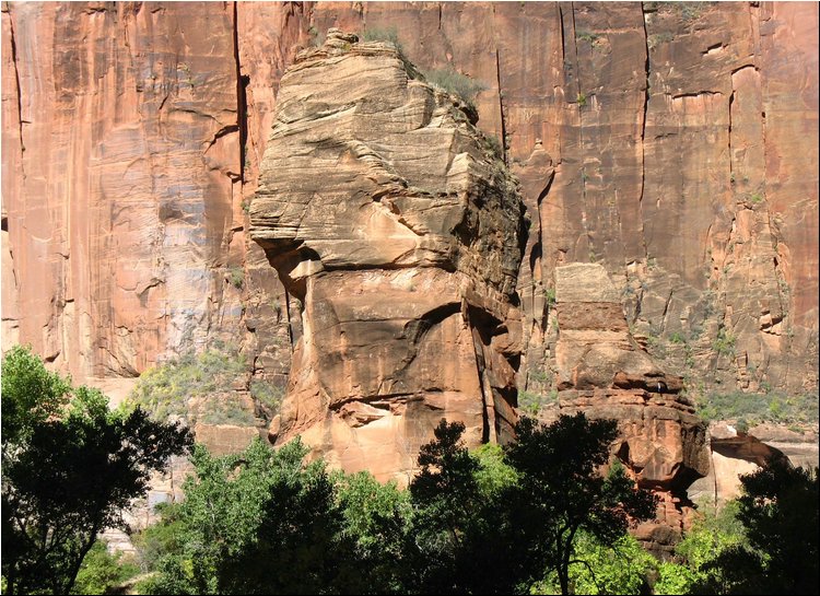 Zion National Park 6.jpg