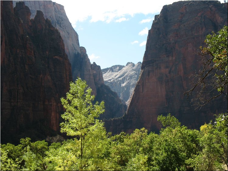 Zion National Park 7.jpg