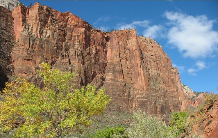 Zion National Park 8.jpg