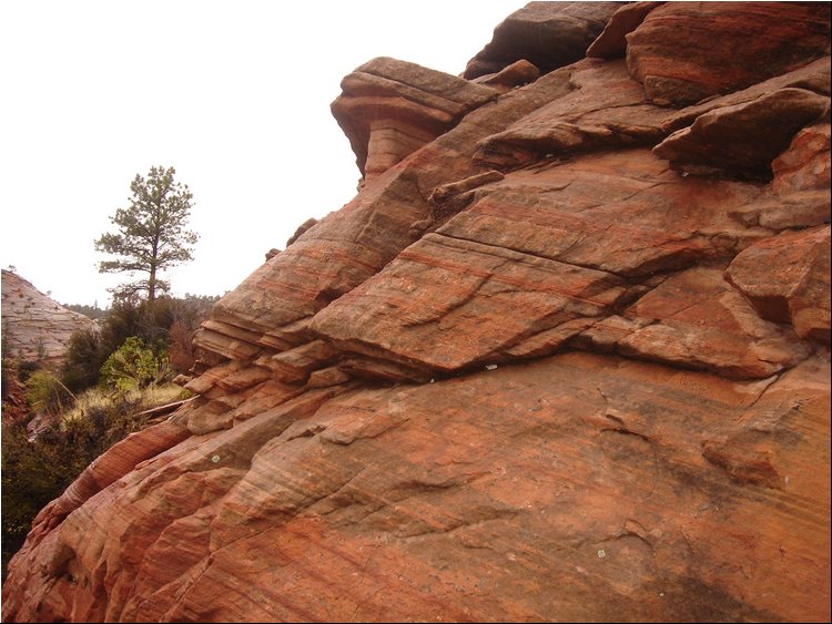 Zion Park 6.JPG