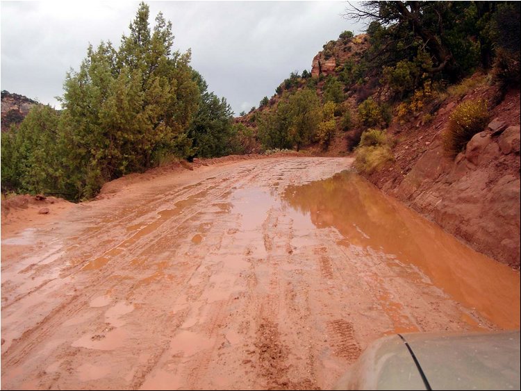 road less traveled - Zion.JPG