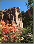 Zion National Park 1.jpg