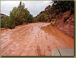 road less traveled - Zion.JPG