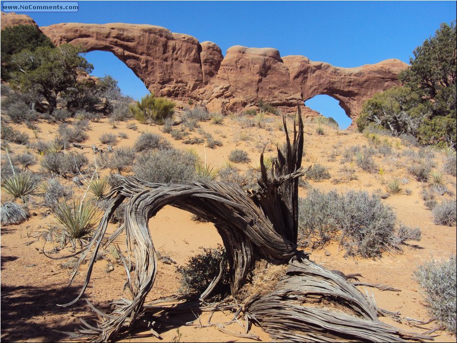 Windows 04.JPG