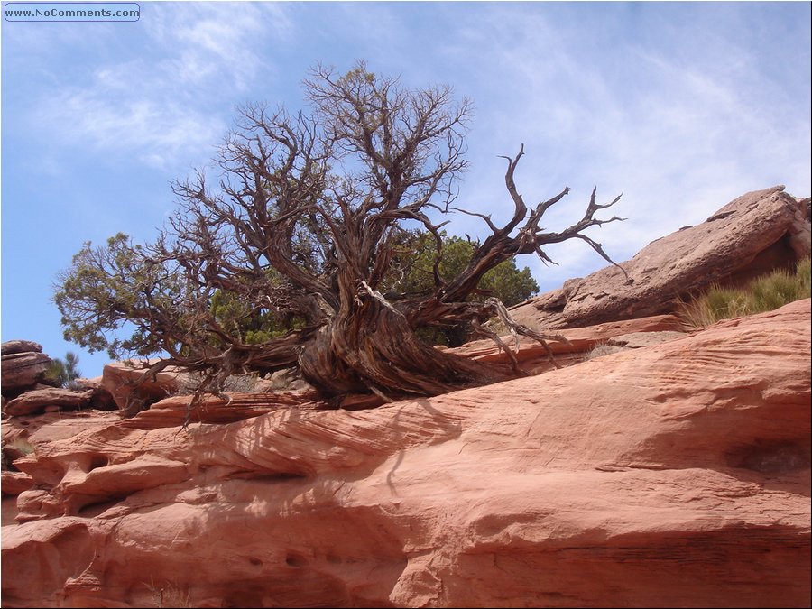 Canyonlands 07.JPG