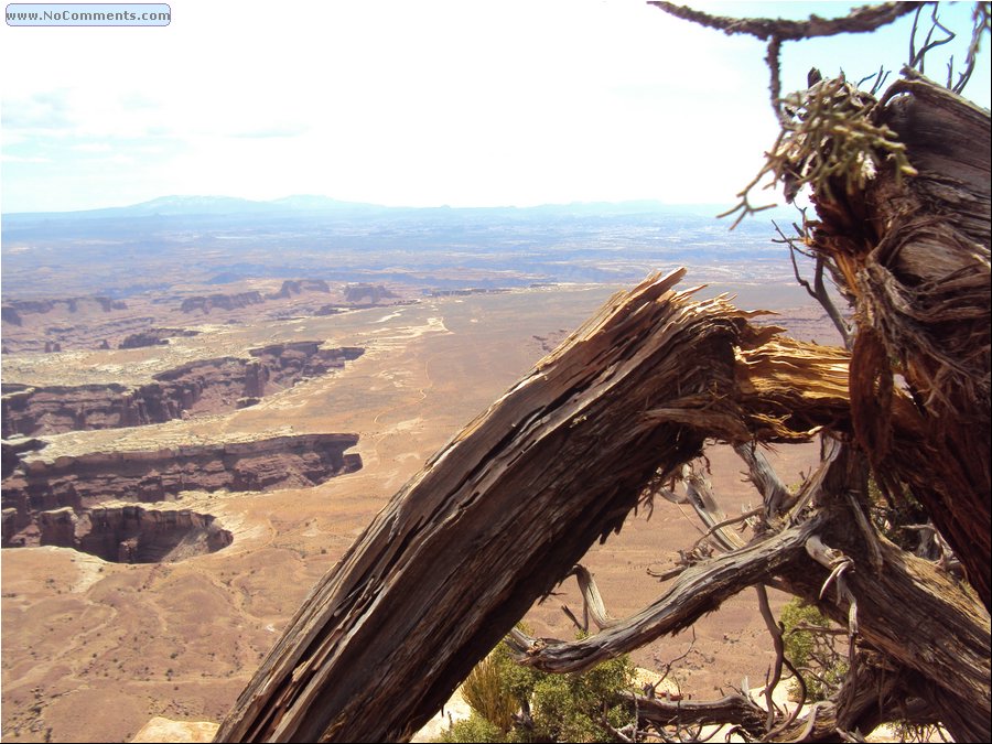 Canyonlands 25.JPG