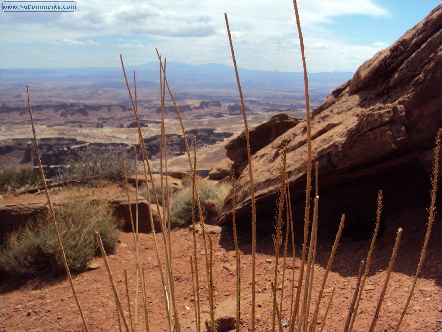 Canyonlands 26.JPG