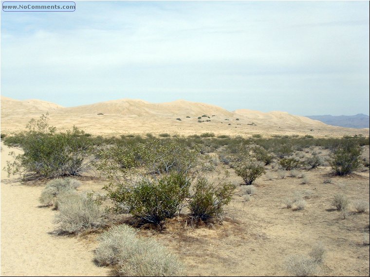 Mojave Desert 1.jpg