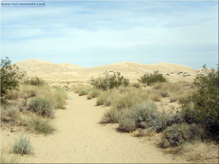 Mojave Desert 3.jpg