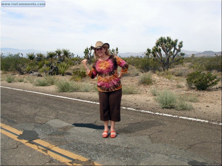 Mojave Desert.jpg