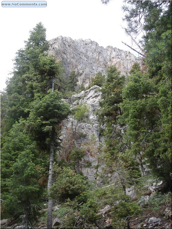 Mount Charleston 5.jpg