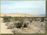 Mojave Desert 1.jpg