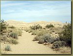 Mojave Desert 3.jpg
