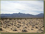 Mojave Desert 8.jpg