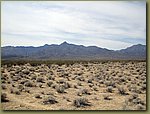 Mojave Desert 8.jpg