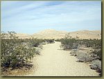 Mojave Desert 8c.jpg