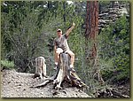 Mount Charleston 1.jpg