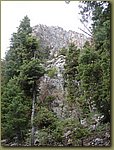 Mount Charleston 5.jpg