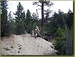 Mount Charleston.jpg