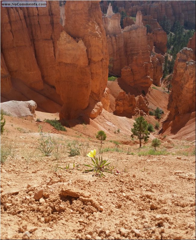 Bryce_Canyon_31.jpg