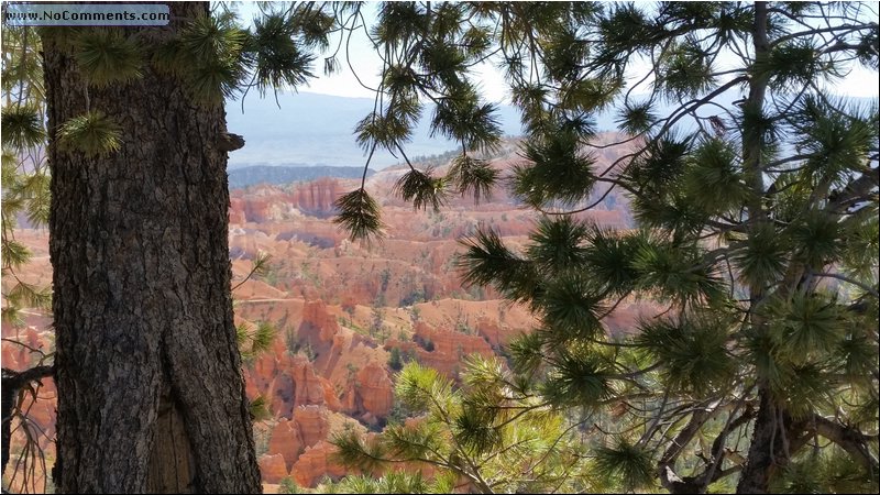 Bryce_Canyon_54.jpg