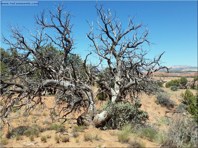 Kodachrome_State_Park_01.jpg