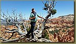 Bryce_Canyon_09.jpg