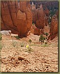 Bryce_Canyon_31.jpg