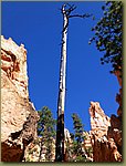 Bryce_Canyon_41.jpg