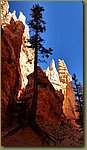 Bryce_Canyon_44.jpg