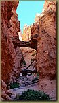 Bryce_Canyon_45.jpg