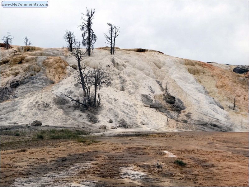 Yellowstone_Park_10.jpg