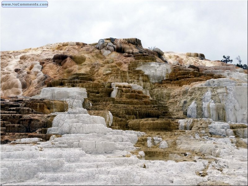 Yellowstone_Park_12.jpg