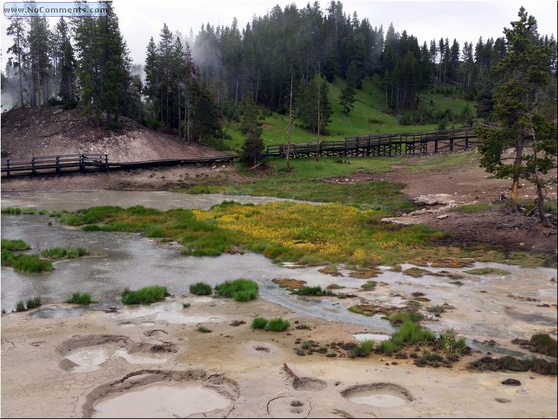 Yellowstone_Park_21.jpg