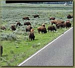 Yellowstone_Park_05.jpg