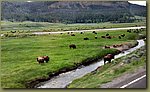 Yellowstone_Park_08.jpg