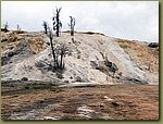 Yellowstone_Park_10.jpg