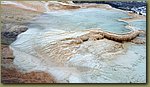 Yellowstone_Park_17.jpg