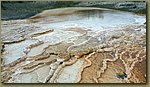 Yellowstone_Park_19.jpg