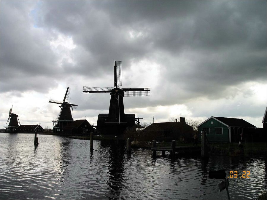 Holland 011.jpg