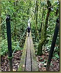 Jungle_excursion_09.jpg