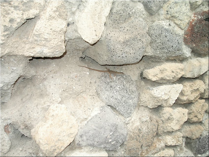 Pompei5.JPG