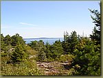 Acadia National Park 5.JPG