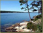 Acadia National Park 6.JPG