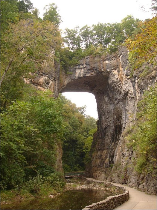 Natural Bridge 1.JPG