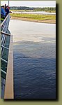 20250720_094311.jpg