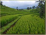 20171026_110818.jpg