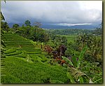 20171026_112238.jpg
