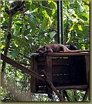 20171028_123306.jpg